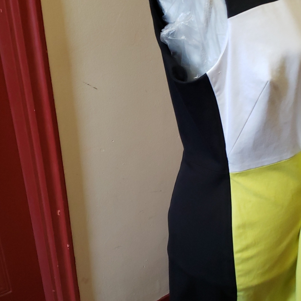 Calvin Klein  b7c blk/wht/ citron Dress Size 14 - Picture 12 of 16